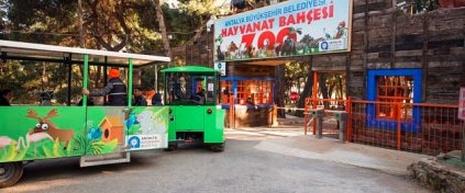 Hocaoğuları Group