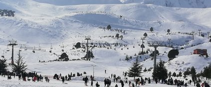 Hocaoğuları Group